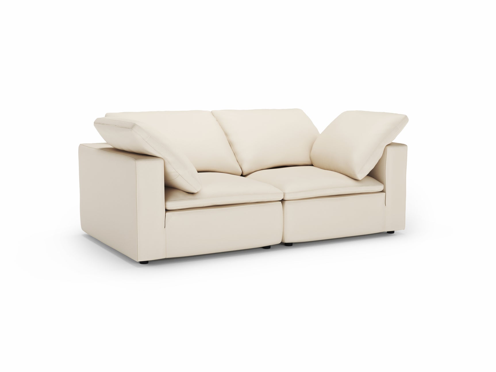 Claire Leather Modular Sofa